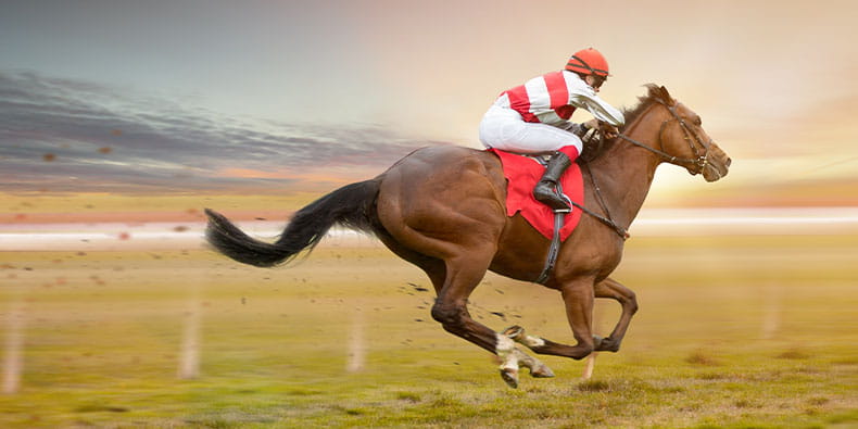  Eventos de corridas de cavalos no Paquistão - pistas de corrida, eventos e eventos Mais